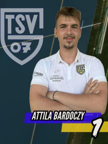 Attila Bardoczy