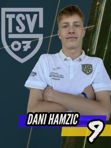 Dani Hamzic