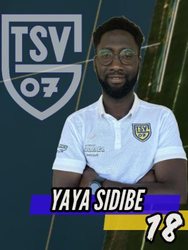 Yaya Sidibe