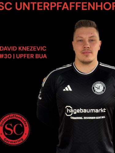 David Knezevic