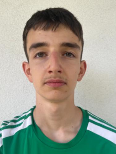 Avatar Bild für Niko Memmel