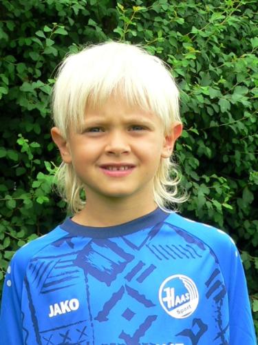 Theo Petrich
