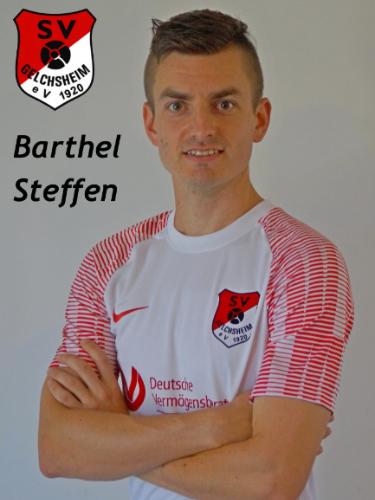 Steffen Barthel