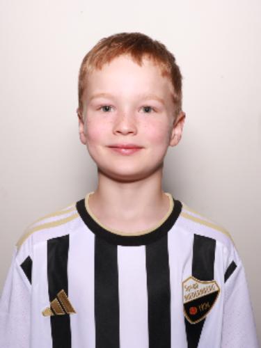 Fabian Höhn-Schüßler