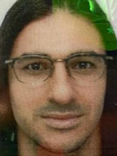 Hamed Zamaninodouzaghi