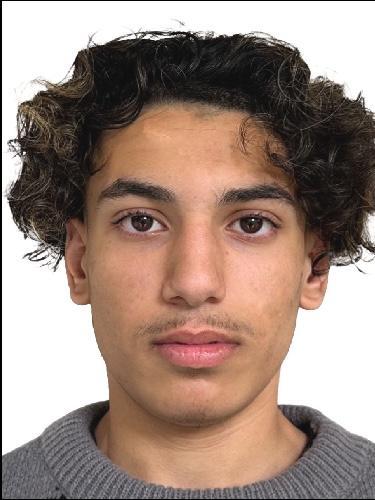 Ahmed Moussa