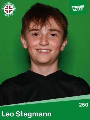 Avatar Bild für Leo Stegmann