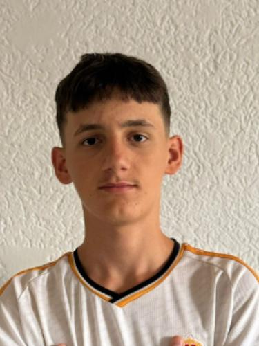 Bleart Krasniqi