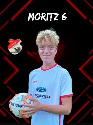 Moritz Dirr