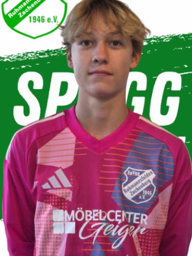 Leo Staudinger