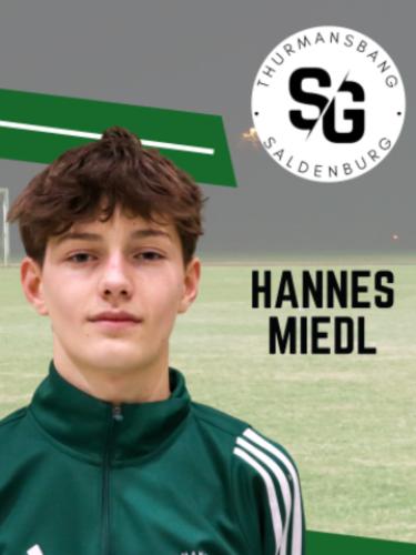 Avatar Bild für Hannes Miedl