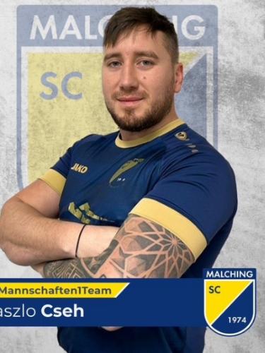 Laszlo Cseh