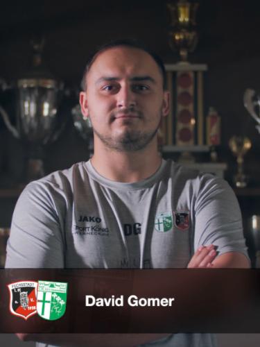 David Gomer