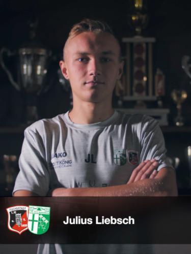 Julius Liebsch