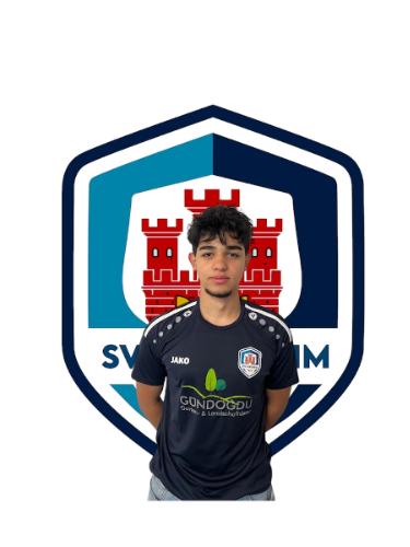 Behzad Sharifi Sazgar