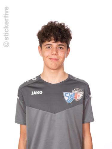 Avatar Bild für Alfred Wiblishauser