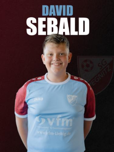 Avatar Bild für David Sebald