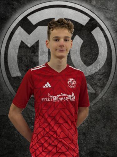 Avatar Bild für Luis Sigl