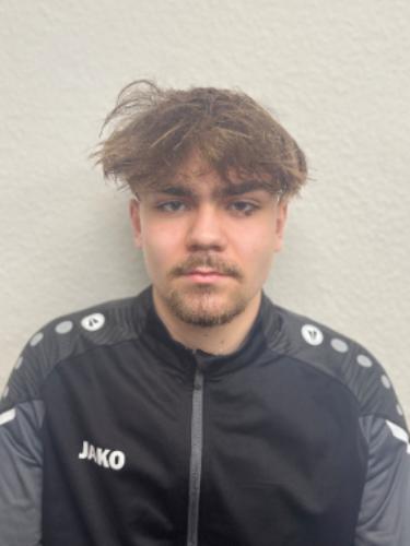 Avatar Bild für Levi Heptner