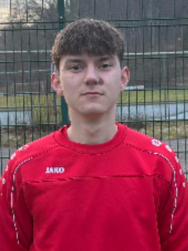 Niklas Schäpertöns