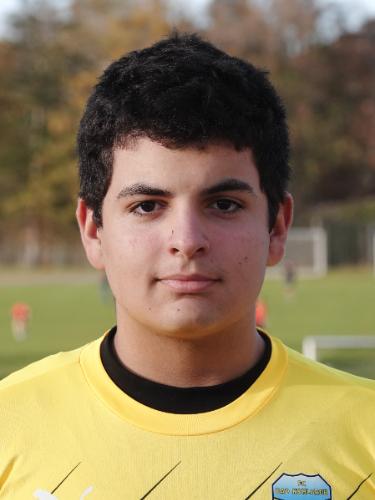 Alen Jasarevic