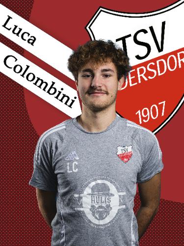 Luca Colombini
