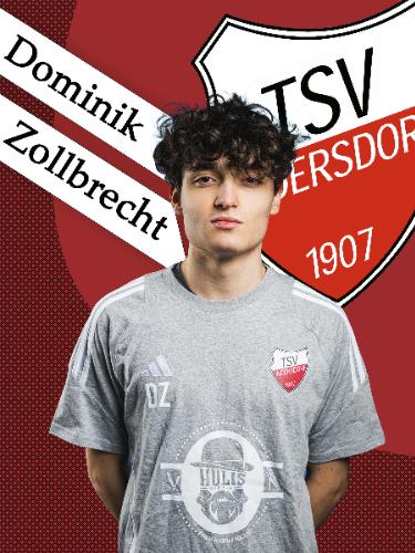 Dominik Zollbrecht