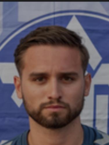 Mehner Krilic