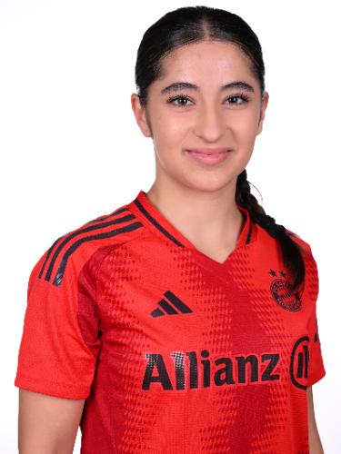 Sena Zibil
