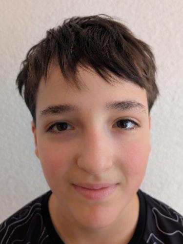 Raphael Schuster