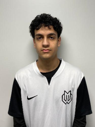 Ahmad Housseineh Farahani