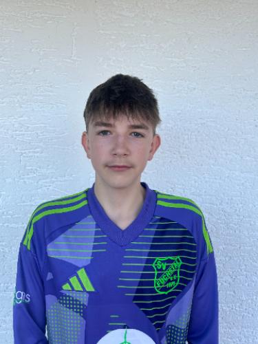 Johannes Mitterreiter