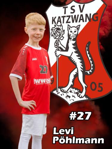 Levi Pöhlmann