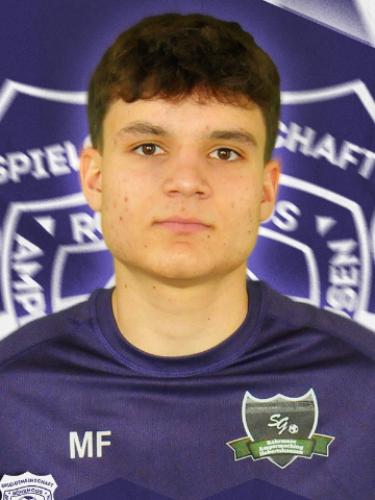 Avatar Bild für Michael Fisch