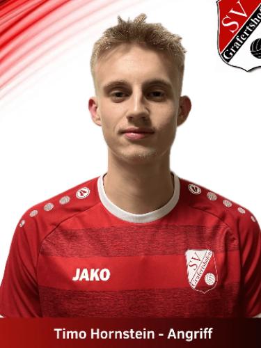 Avatar Bild für Timo Hornstein