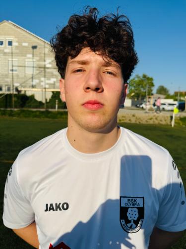 Dzenan Hamidovic