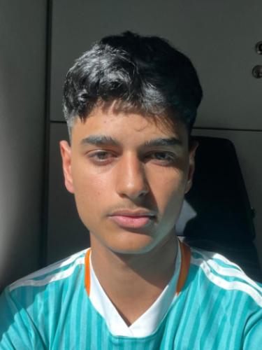 Muthana Alabdullah-Almohamad