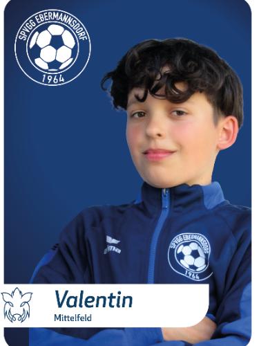 Avatar Bild für Valentin Piehler