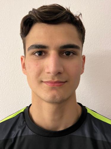 Anri Dvalishvili