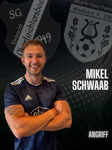 Mikel Schwab