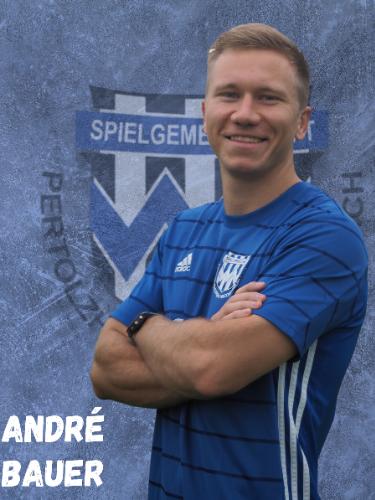 Andre Bauer