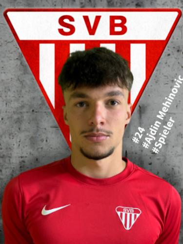 Ajdin Mehinovic