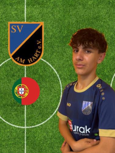 Rodrigo Batista Bento