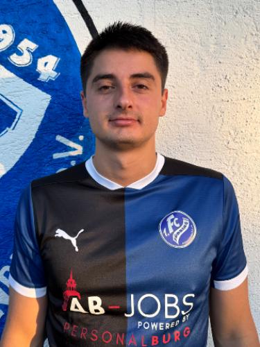 Milan Mitrovic