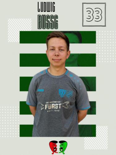 Ludwig Busse