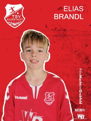 Elias Brandl