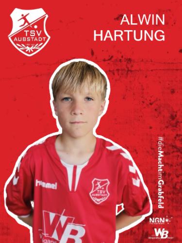 Alwin Hartung