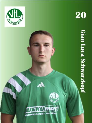 Avatar Bild für Gian Luca Schwarzkopf