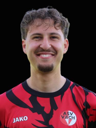 Lazar Bajic