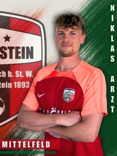 Niklas Arzt